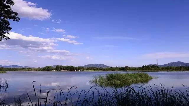 夏天天气这么热适合去哪儿玩,大暑去哪里玩比较凉快