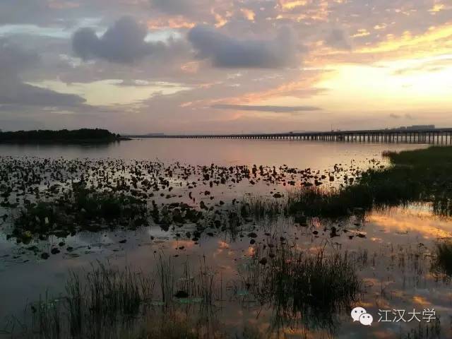 姹熷ぇ缇庢櫙,濮滃ぇ缇庝附