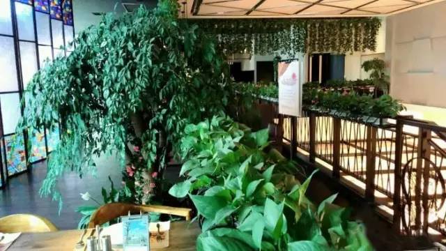 哈尔滨最美的8个地方,哈尔滨冬天最美的餐厅