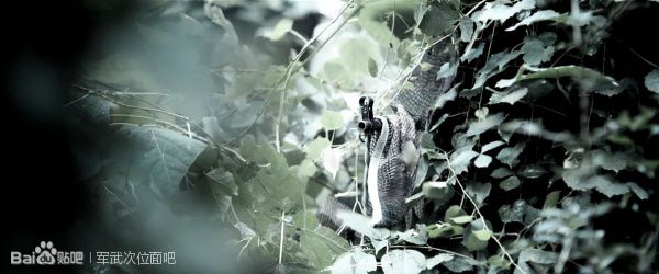 战争电影中的经典枪械,电影战狼中的一些枪械