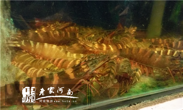 金秋沙巴游 (暑假去沙巴旅游攻略)