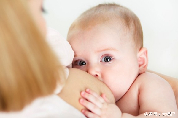 卷心菜：为何能帮助母乳妈妈断奶？