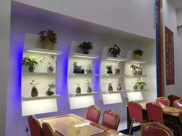 禅意十大素食餐厅,清远素食餐厅地址