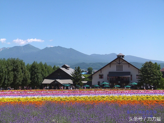 日本北海道最美丽的景点,北海道暑假旅游攻略大全