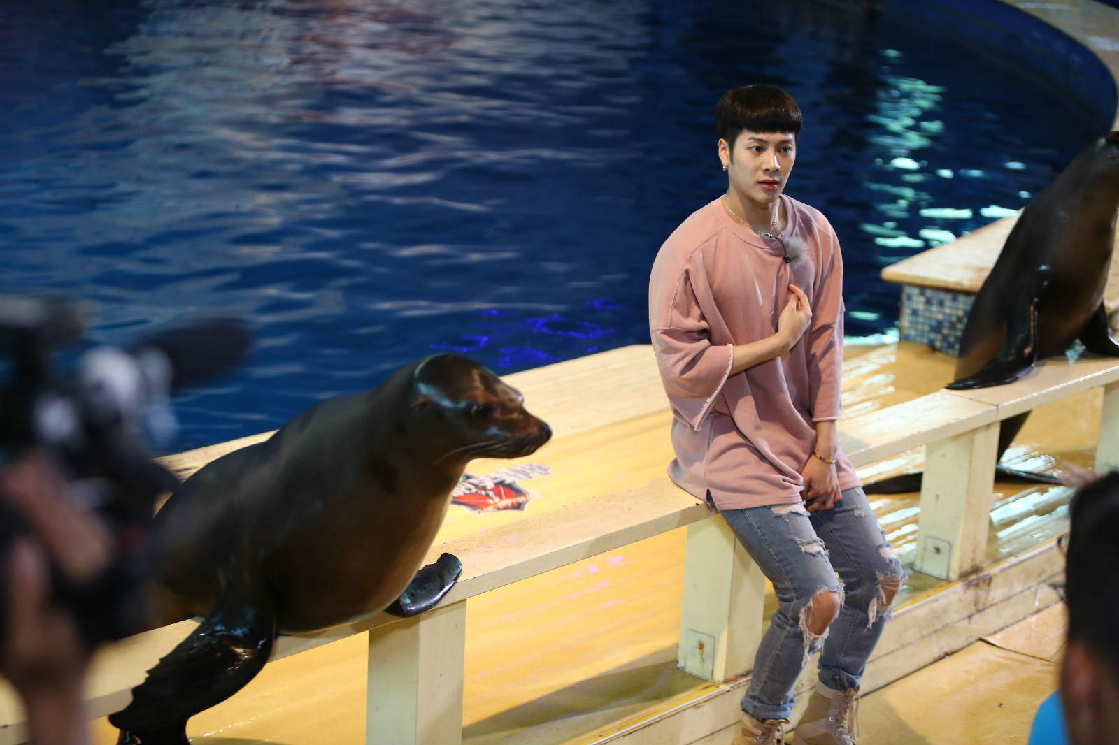 我们战斗吧王嘉尔恐高撒娇,我们战斗吧王嘉尔飞檐走壁