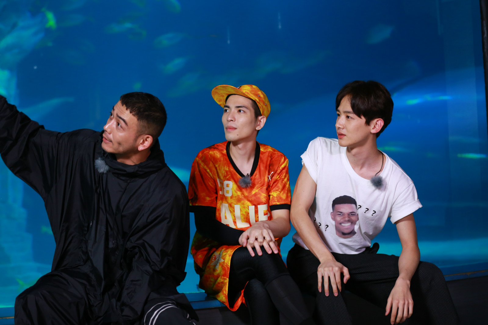 我们战斗吧王嘉尔恐高撒娇,我们战斗吧王嘉尔飞檐走壁