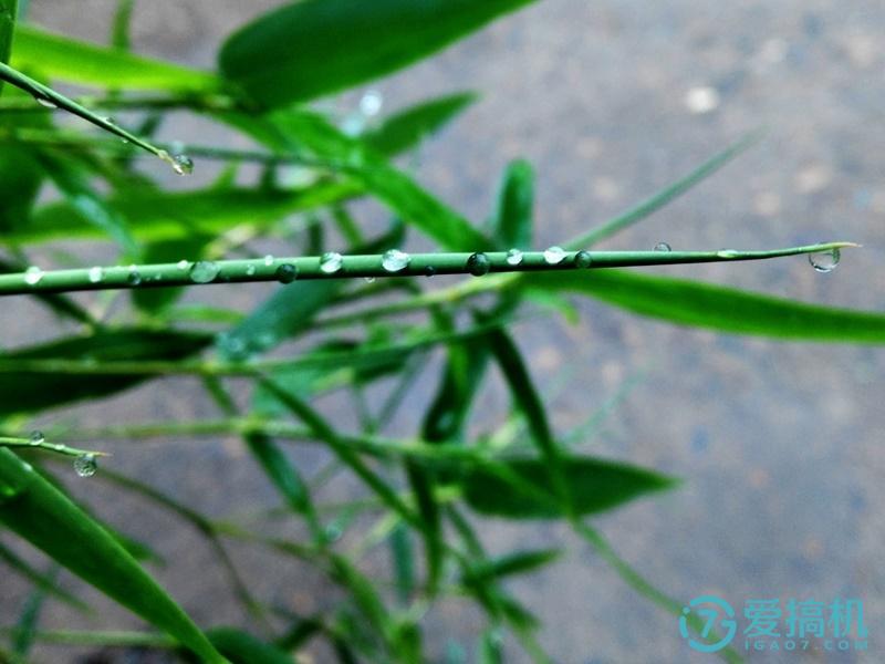 iqooneo7se和光荣x50拍照哪个好,光荣7i和小米5对比