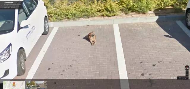 15年前的街景老照片,7080年代城市街景怀旧图片