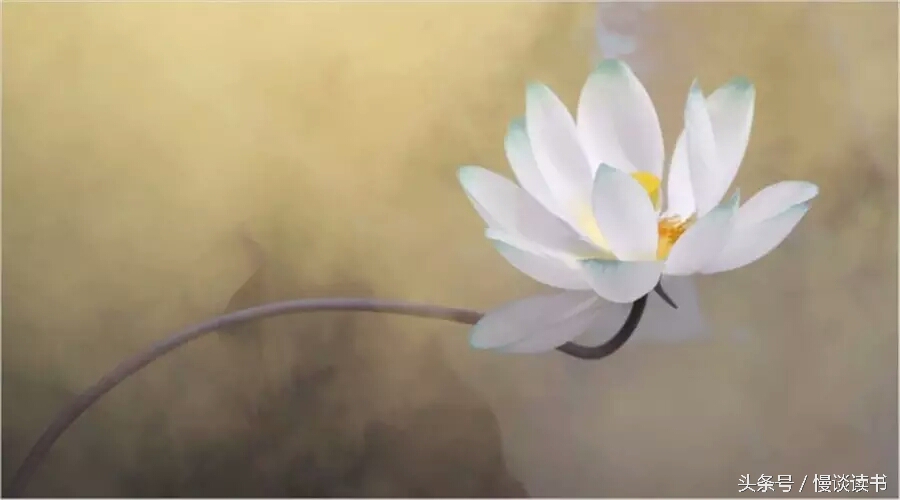 如何阅读一本英文原著,外国文学必读100本书