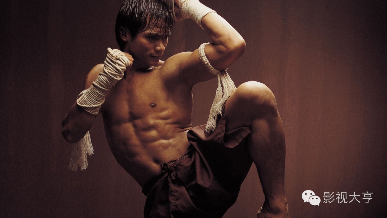 全球最伟大的动作巨星排行榜,全球十大外国动作巨星排行