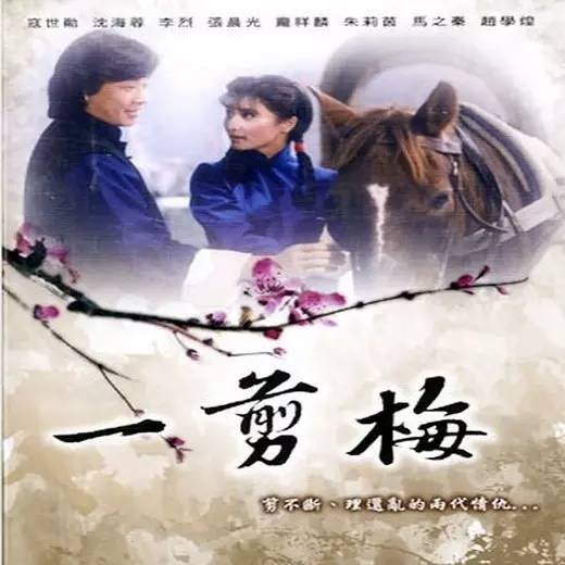 她是一剪梅中的沈心慈，传被李立群抛弃嫁陈震雷