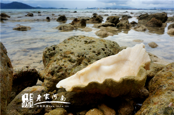 金秋沙巴游 (暑假去沙巴旅游攻略)