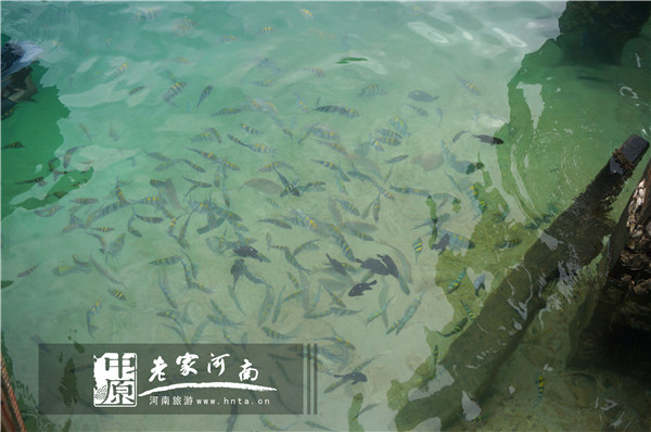 金秋沙巴游 (暑假去沙巴旅游攻略)