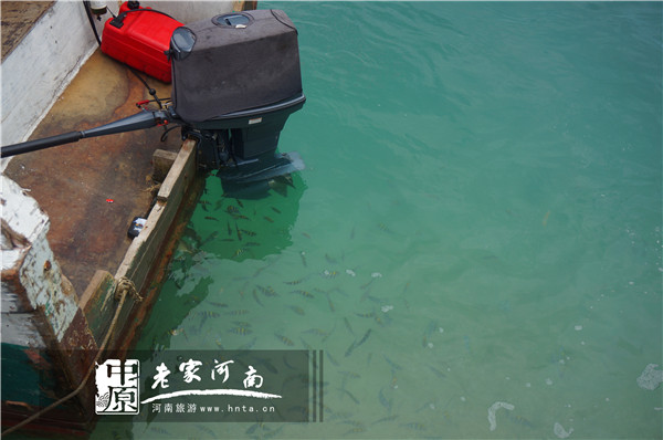 金秋沙巴游 (暑假去沙巴旅游攻略)