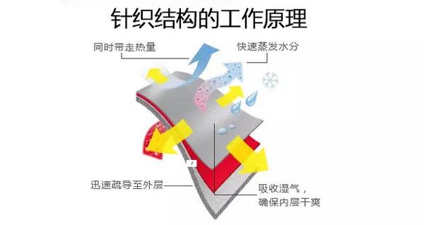 怎样正确选择适合自己的运动内衣,运动内衣基础款怎么选购