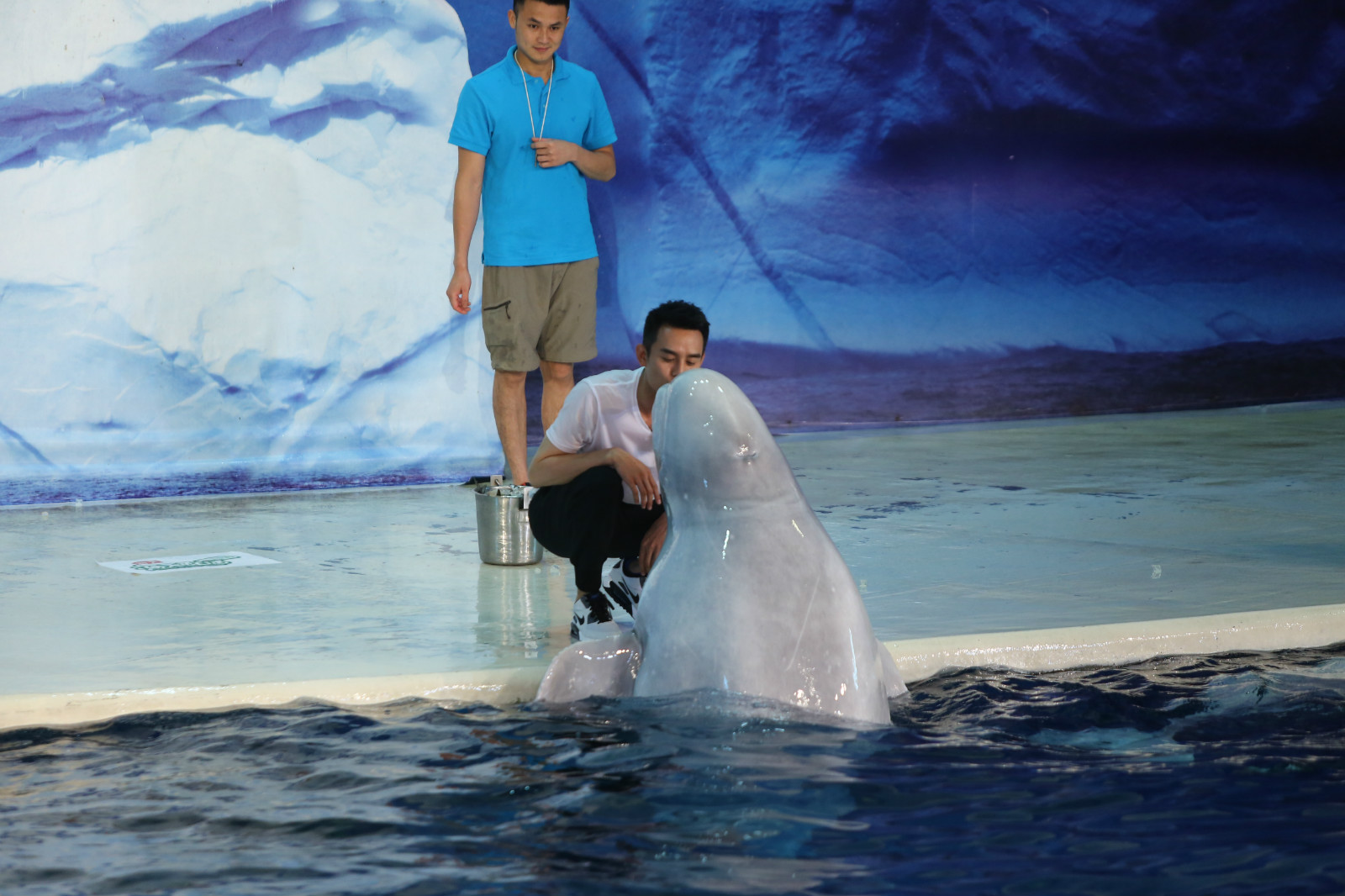 我们战斗吧王嘉尔恐高撒娇,我们战斗吧王嘉尔飞檐走壁