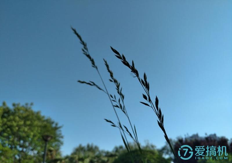 iqooneo7se和光荣x50拍照哪个好,光荣7i和小米5对比