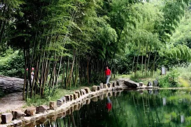 中国十三个最美的著名竹海,江苏旅游十大必去景区南山竹海