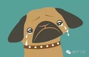 猴年马月真的来吗,猴年马月真的来了吗