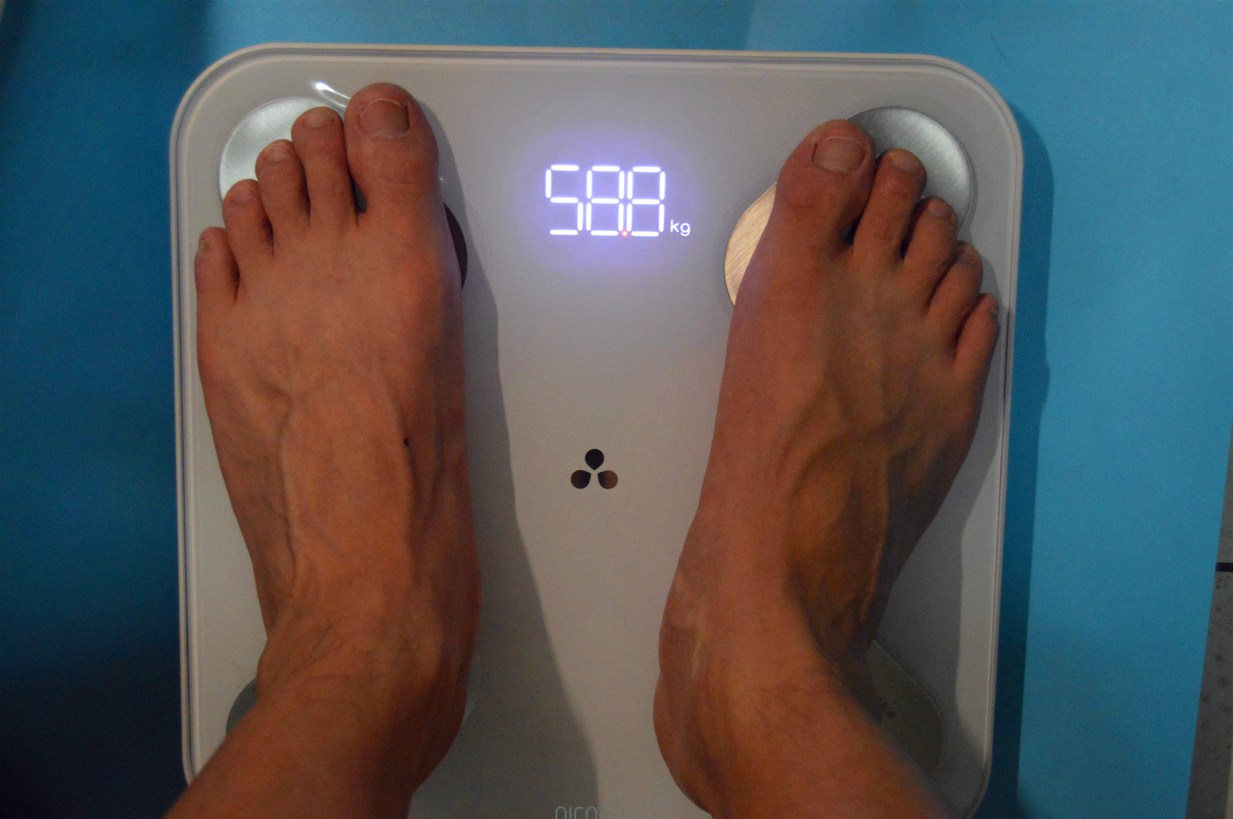 智能体脂秤横向测评,智能体脂秤横向评测