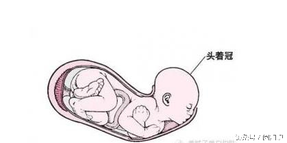 生孩子的正确打开方式,生孩子各阶段流程