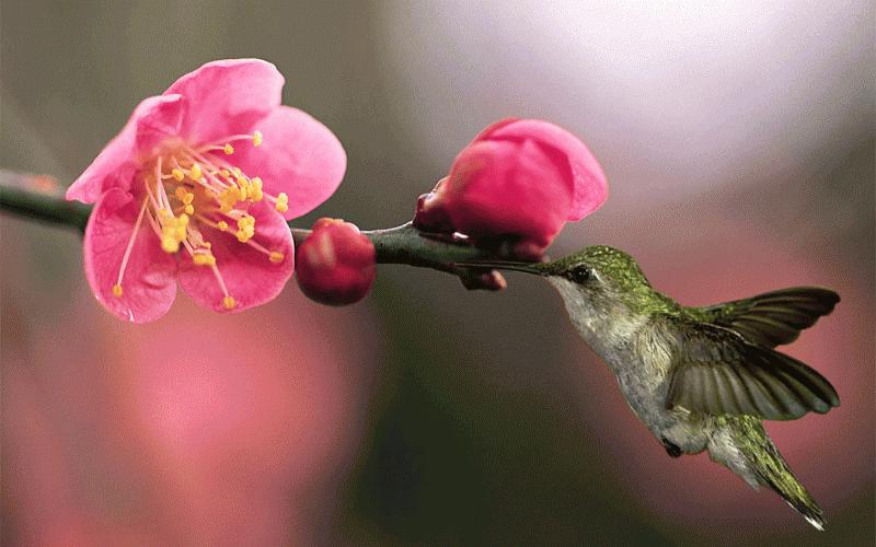 成都最牛的区排名,成都最牛的区是哪个区