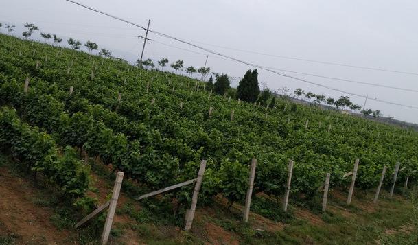 城里人太会玩素材,城里人太会玩完整版