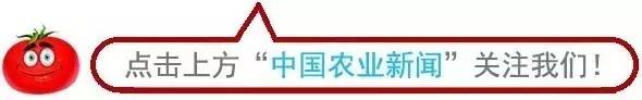 休闲农业可以开发哪些创意,休闲农业学什么课程