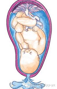 分娩前后分娩前，每一位孕妈妈都必须知道的事！