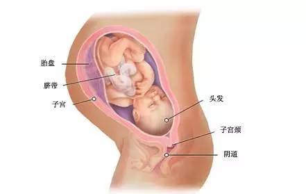 孕37周检查什么,孕37周算早产吗