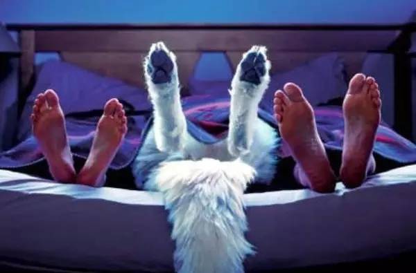 半数人18岁前看过*片A**？2015国人婚恋报告颠覆你想象