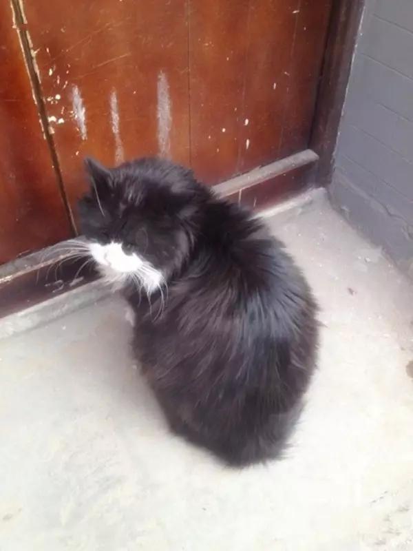 京城那些萌哒哒的地方，即使去千遍也不厌倦