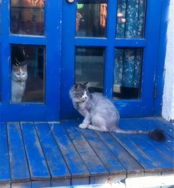 京城那些萌哒哒的地方，即使去千遍也不厌倦