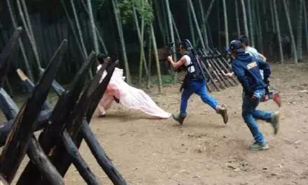 太子妃红的原因就是——相逢一炮泯恩仇