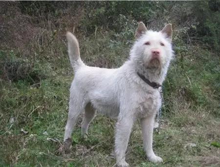 贵州最贵的土豪,贵州什么东西卖得最贵