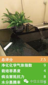 雾霾天室内空气真的比室外好吗,室内防止雾霾的小妙招