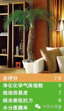 雾霾天室内空气真的比室外好吗,室内防止雾霾的小妙招