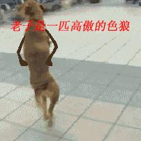 老婆十大经典笑话,讲个让老婆忍俊不禁的笑话