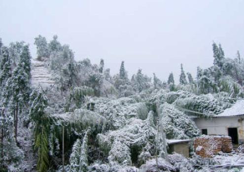 科普到底什么是冻雨为什么它可怕,为什么出现冻雨