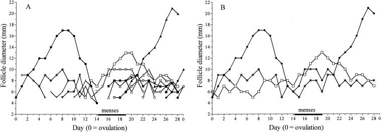 一个生理周期可以排两次卵吗,生理周期40天左右怎么算排卵