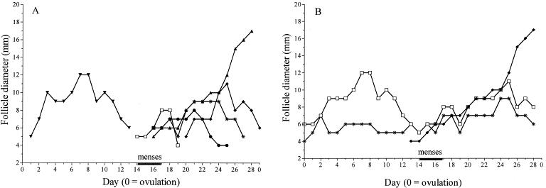 一个生理周期可以排两次卵吗,生理周期40天左右怎么算排卵