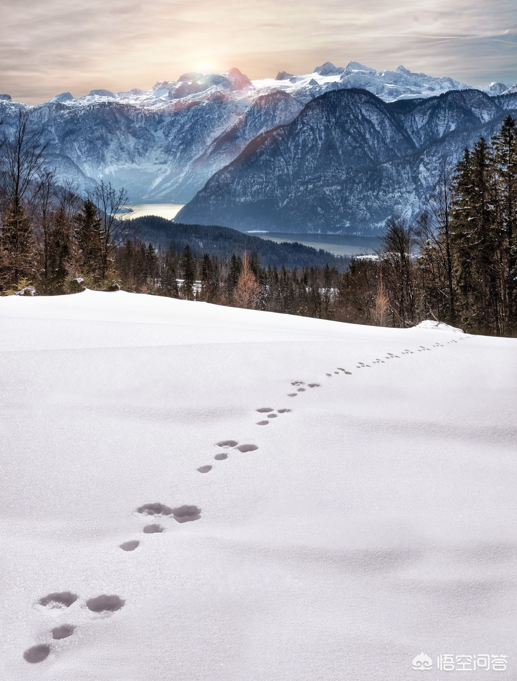 ps灯光光效插件怎么用,ps太阳光照效果插件