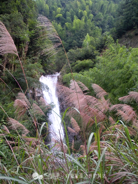 铜钹山风景区和九仙湖图片,铜钹山九仙湖可以钓鱼吗