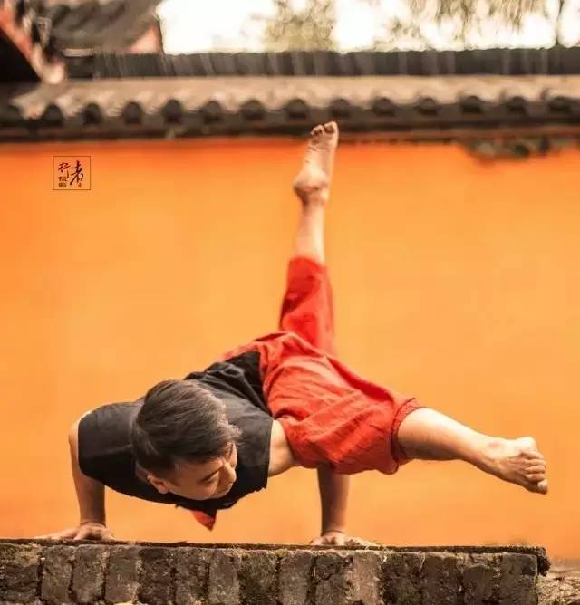 瑜伽必学的解剖知识,瑜伽核心细节分布图