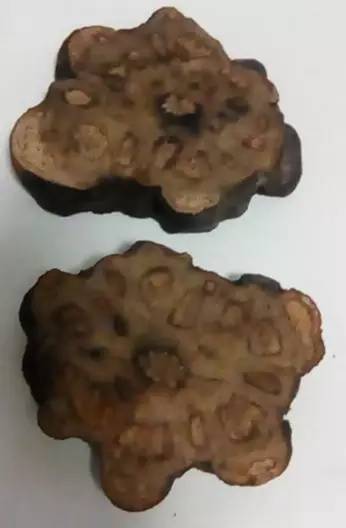 何首乌和地黄可以强心复脉吗,地黄与何首乌