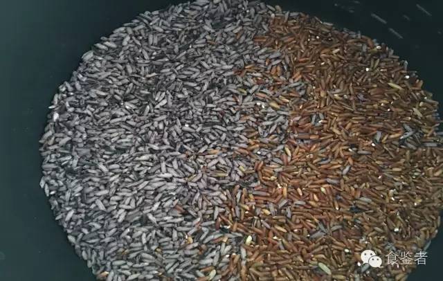 好先生孙红雷最帅的一段,好先生的孙红雷是做什么的