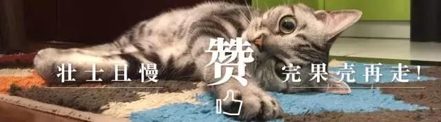 影视剧中好看的片段有哪些,影视剧中8个令人飙泪的桥段