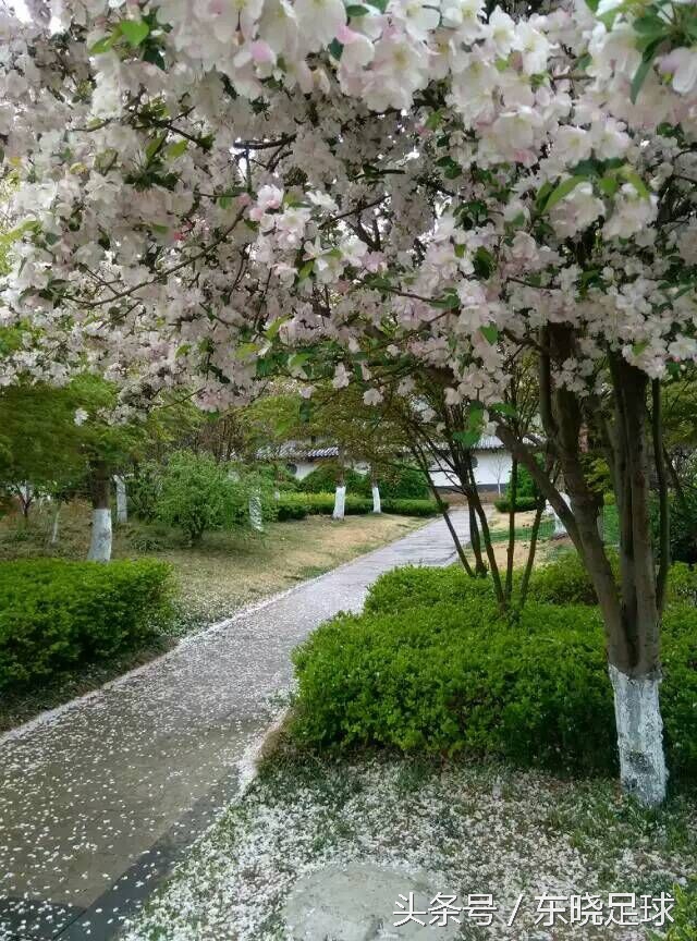 冬亦妖娆夏亦争艳临沂人民公园N分之一角