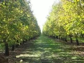 云南这几个小众宝地别错过,云南这些游玩宝地别错过