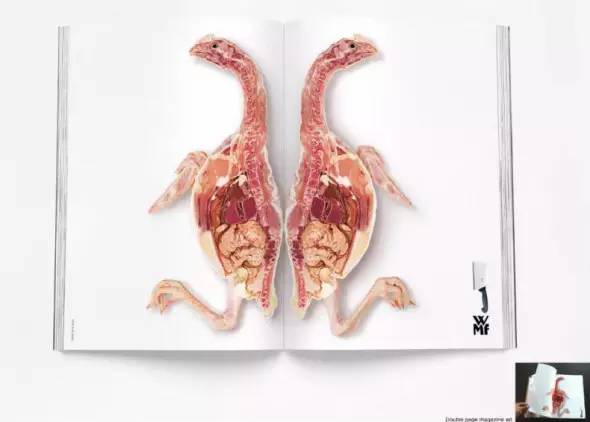 并不是花很多钱的设计才是好设计,为什么你的设计贵